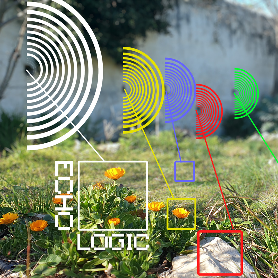 echologic